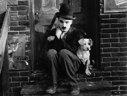 Buster_vs_Chaplin_03