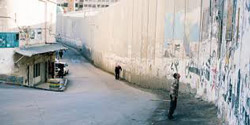 El muro de Palestina, en Omar
